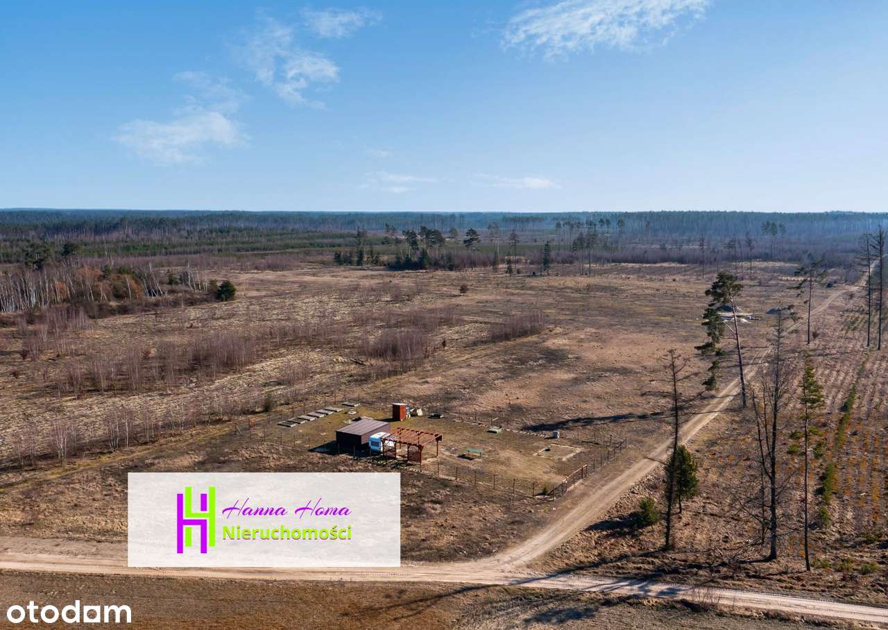 Zapach lasu tuż za płotem - działka w Rytlu NA SPRZEDAŻ - Pełny obrazek: 5/7