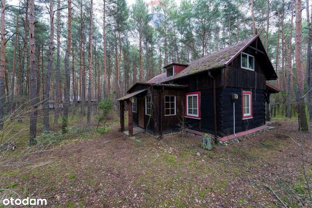 Sprzedaż/działka z Mpzp/1900 m2/Łosie- Radzymin - Pełny obrazek: 4/16