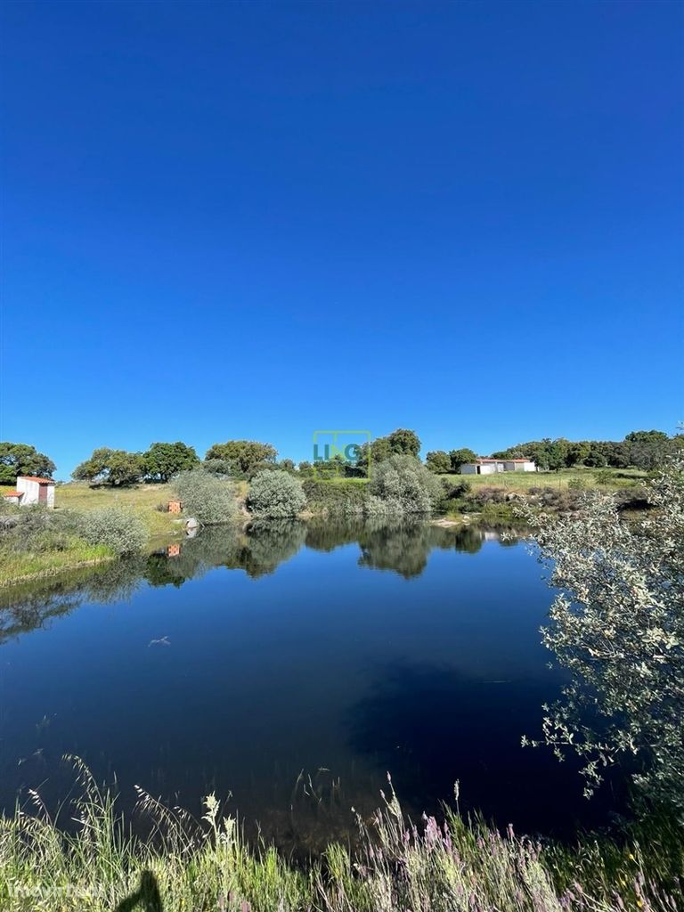 Quinta T1 Venda em Escalos de Baixo e Mata,Castelo Branco