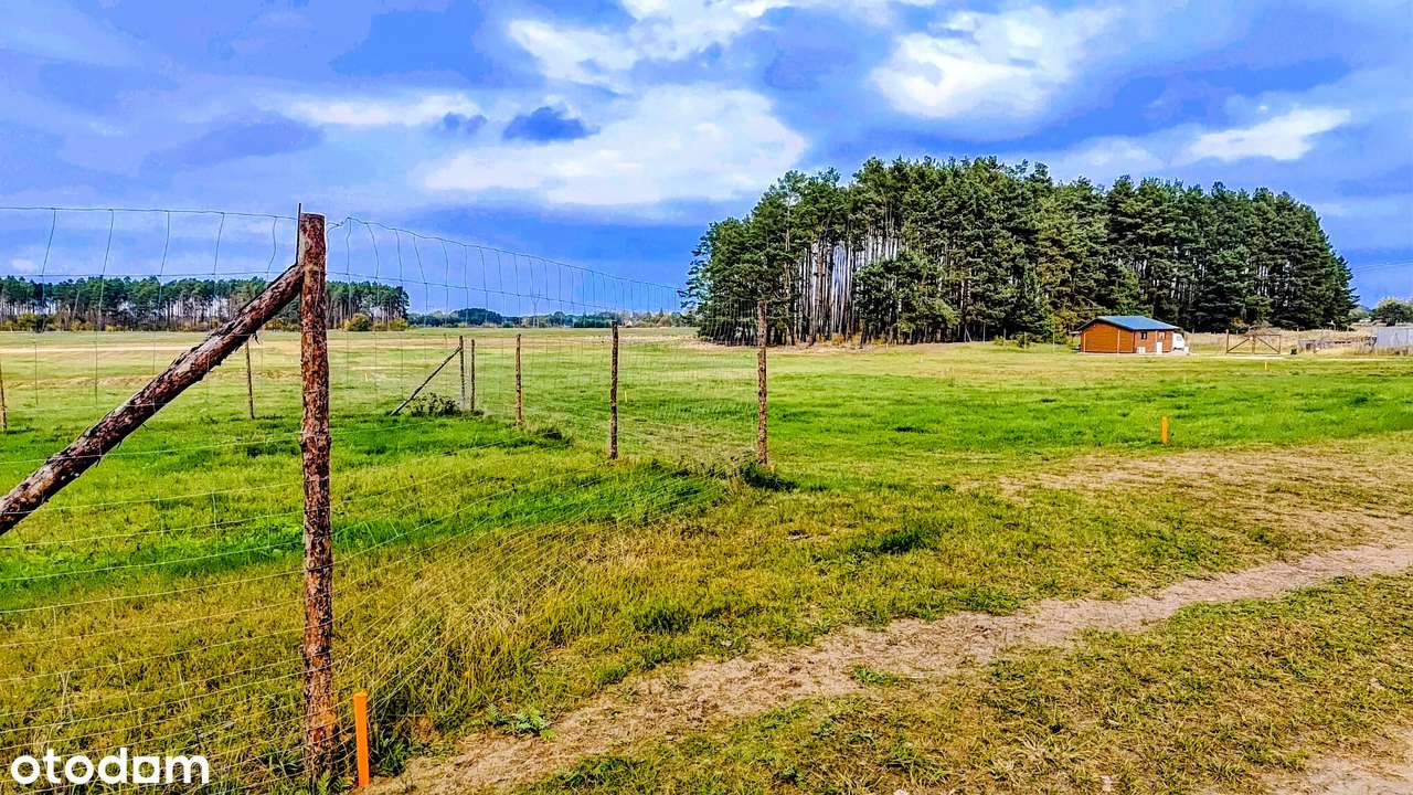 Miejsce, gdzie natura ma swoje skrzydła - Pełny obrazek: 2/20