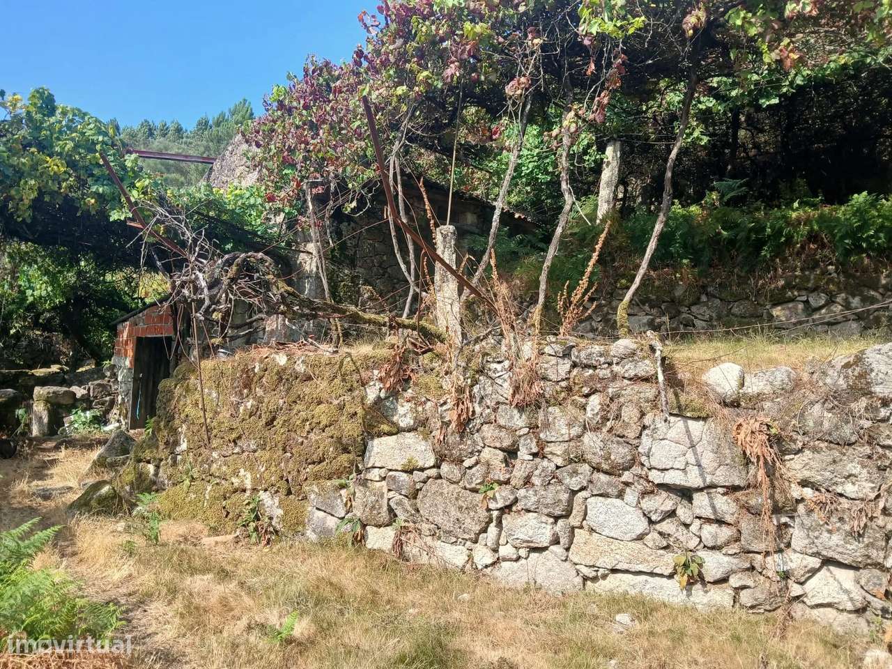 Terreno rústico com casa em pedra para recuperar – Soajo, Arcos de Val-34