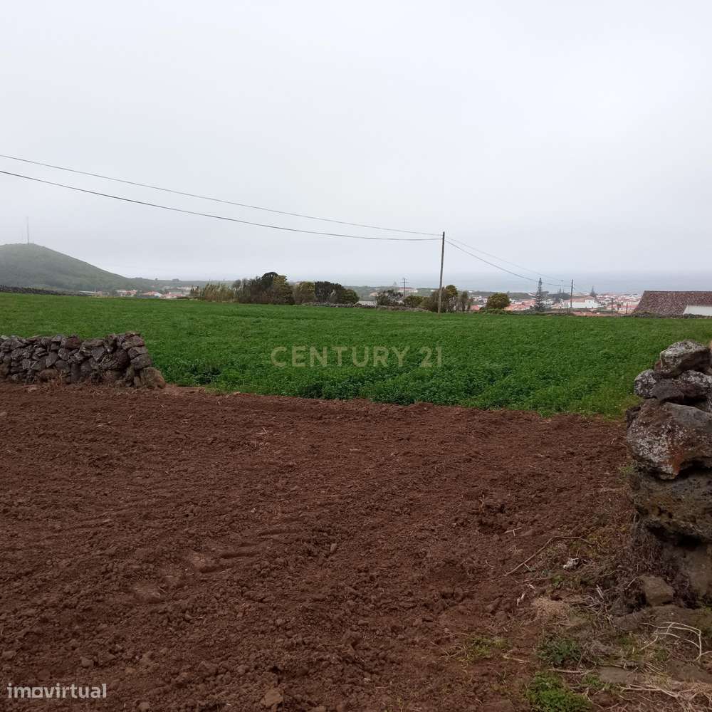Excelente terreno com 9680 m2 em Santo Amaro - Santa Cruz da Graciosa - Grande imagem: 2/5