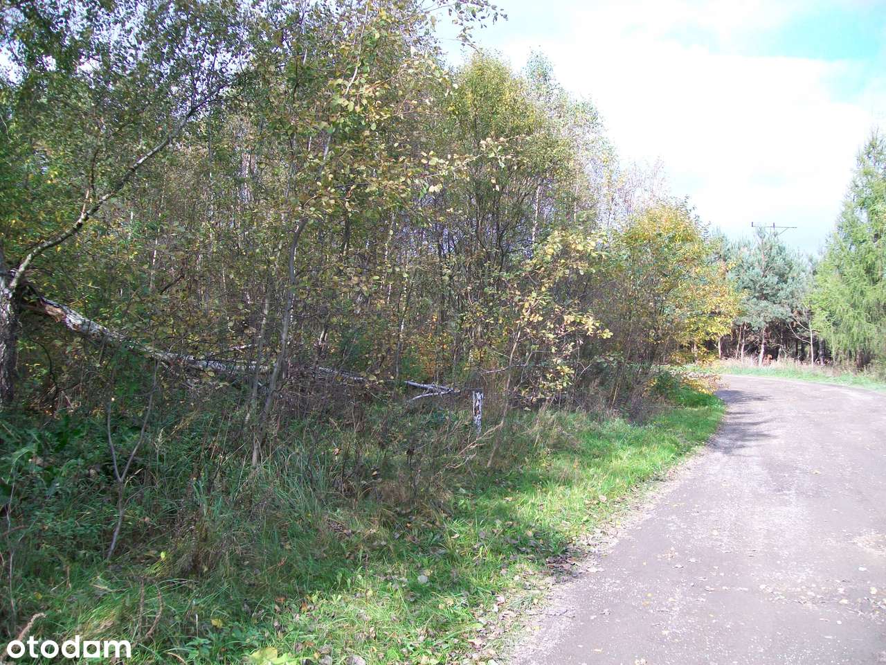 Grodzisko 2050 mkw ,1040 mkw-2