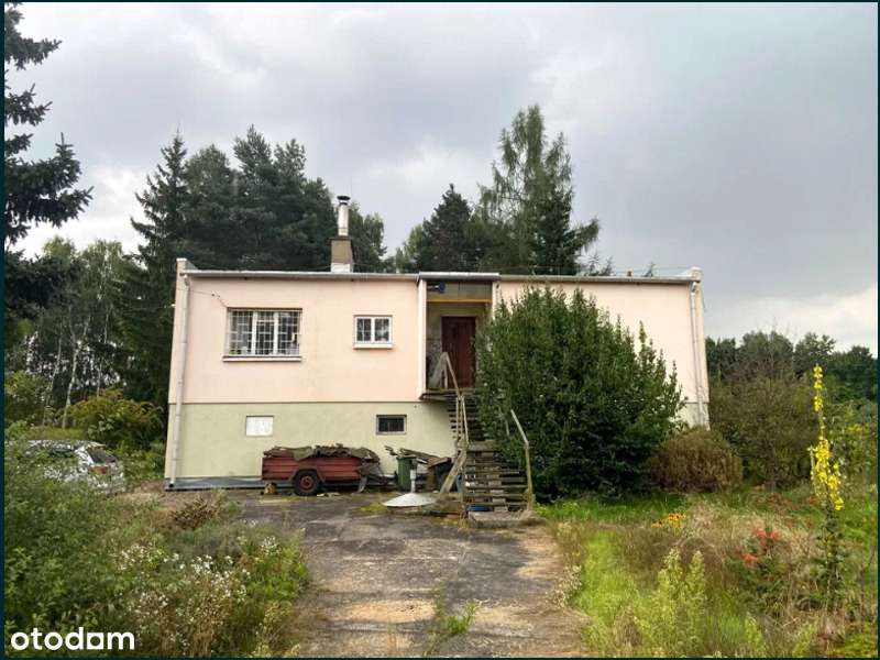 Działka rolno-usługowa z domem pod inwestycje w granicach miasta - Pełny obrazek: 5/10