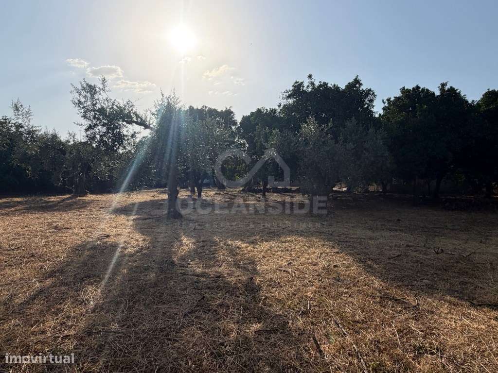Moradia independente com 500 m2 de construção e terreno com 10.000 m2-7