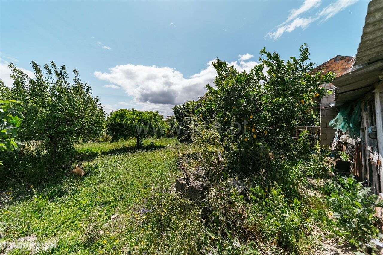 Lote / Fundão, Póvoa da Atalaia - Grande imagem: 3/7