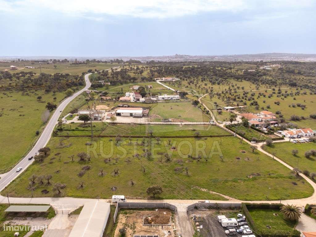 Quinta | Évora | Alentejo - Grande imagem: 4/22