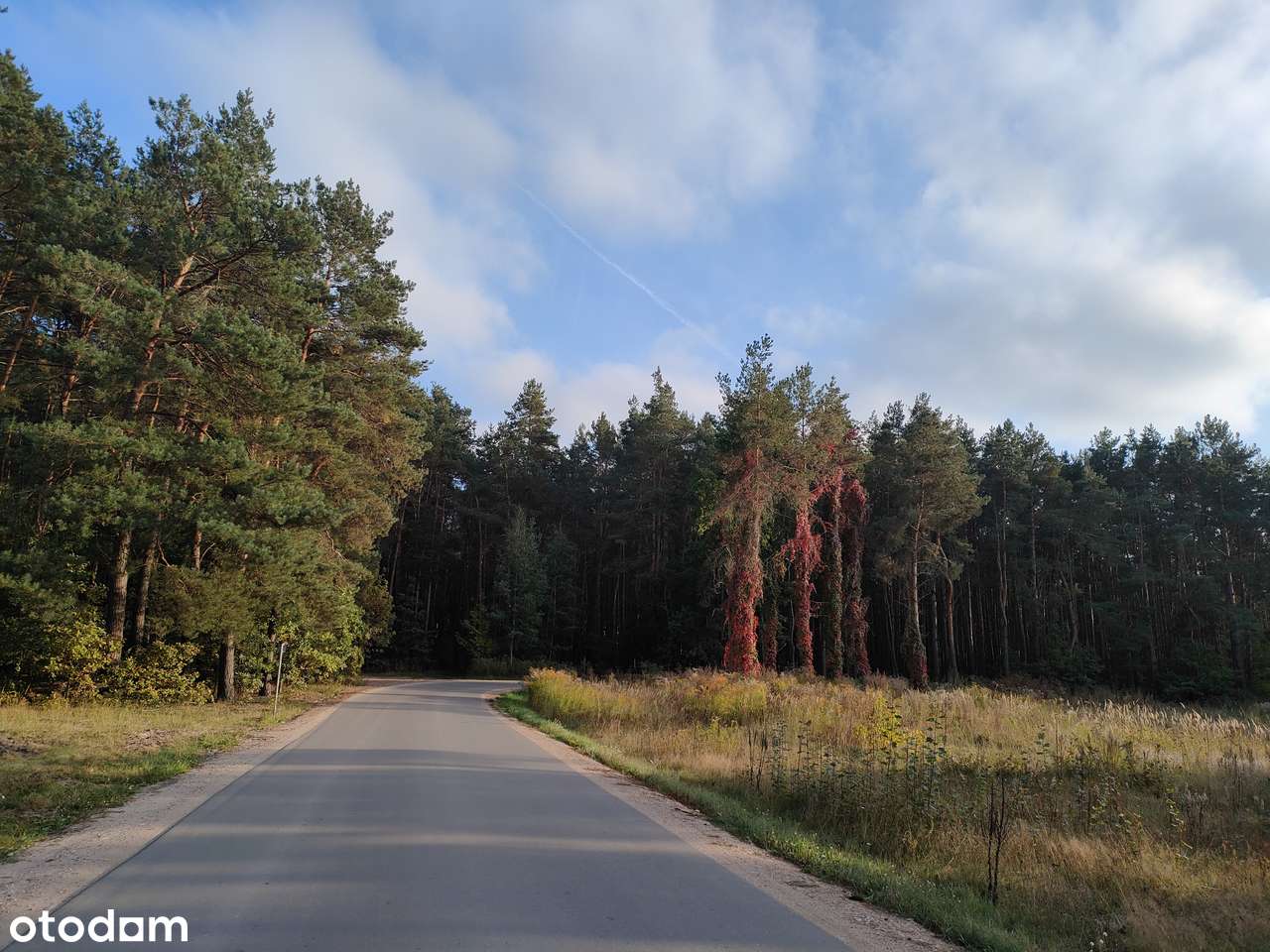 Działka budowlana 2108 m2 w Żabokliki Kolonia - Pełny obrazek: 4/8