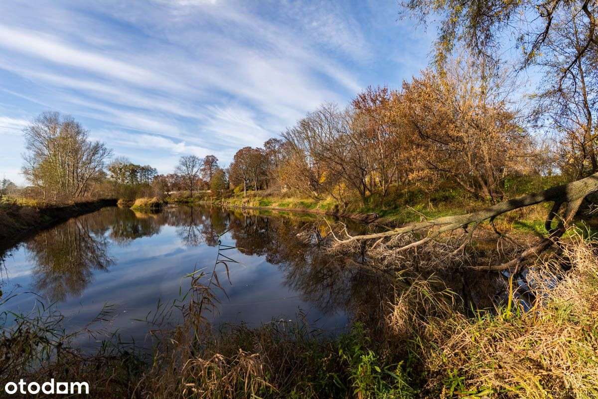 Wyjątkowy Dwór Z Prywatnym Parkiem-15