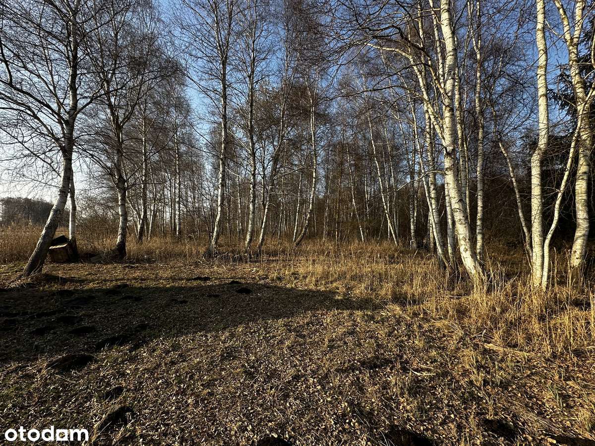 Obiekt na sprzedaż  Gastronomiczno,hotelowo- mieszkalny-3