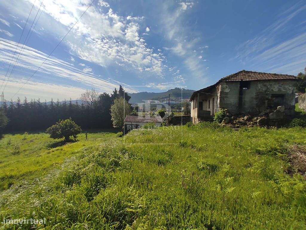 Quinta com 15000m2 em Santo Tirso - Grande imagem: 4/22