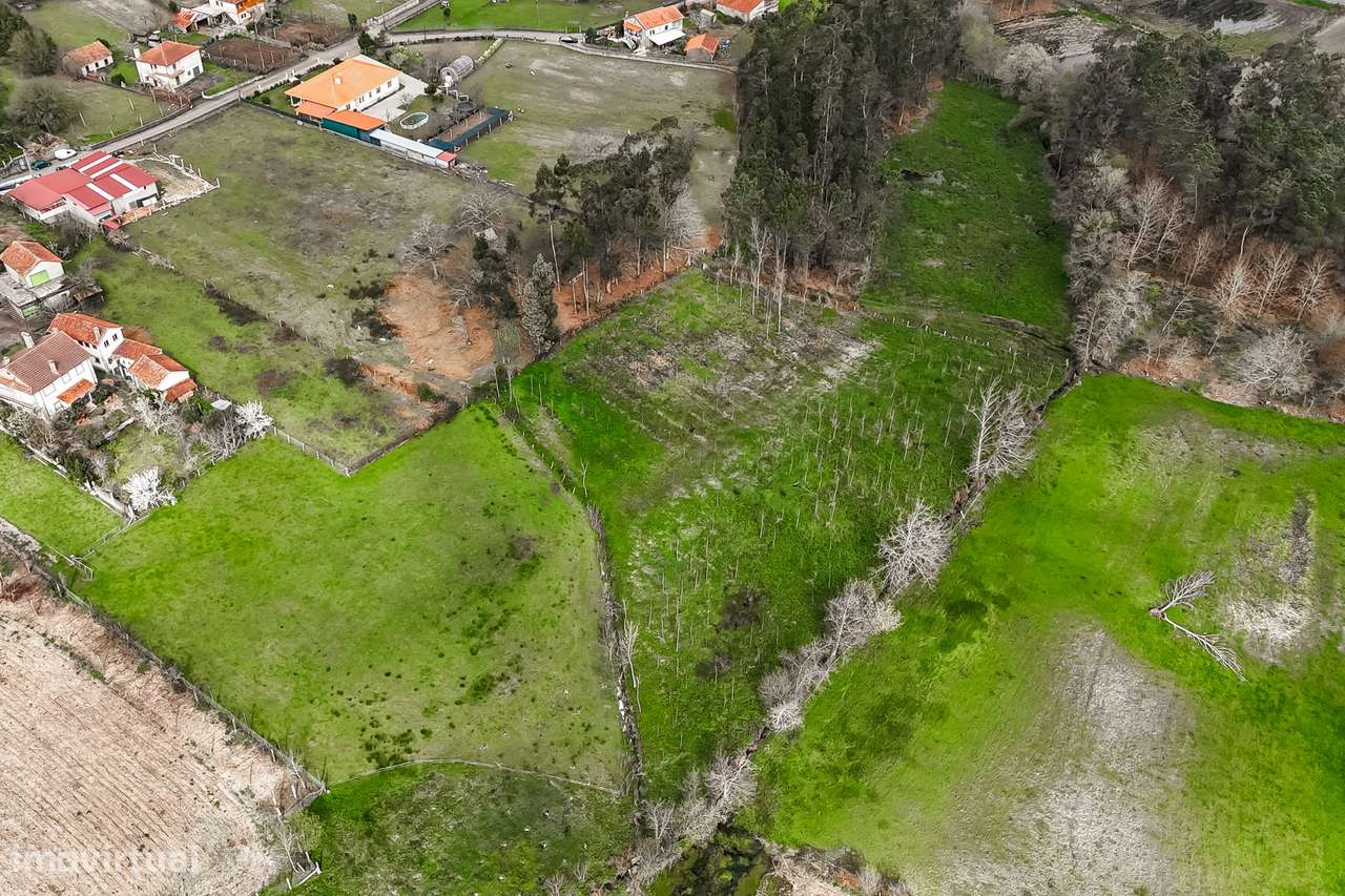 Terreno Rústico  Venda em Associação de freguesias do Vale do Neiva,Po-10