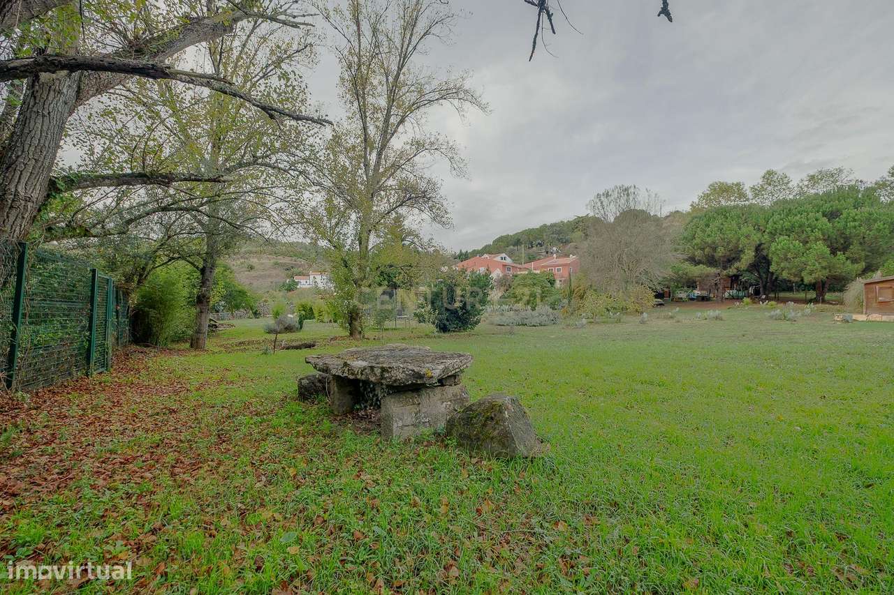 Moradia T4 com 5000m2 de Terreno - "Quinta do Sol"-45
