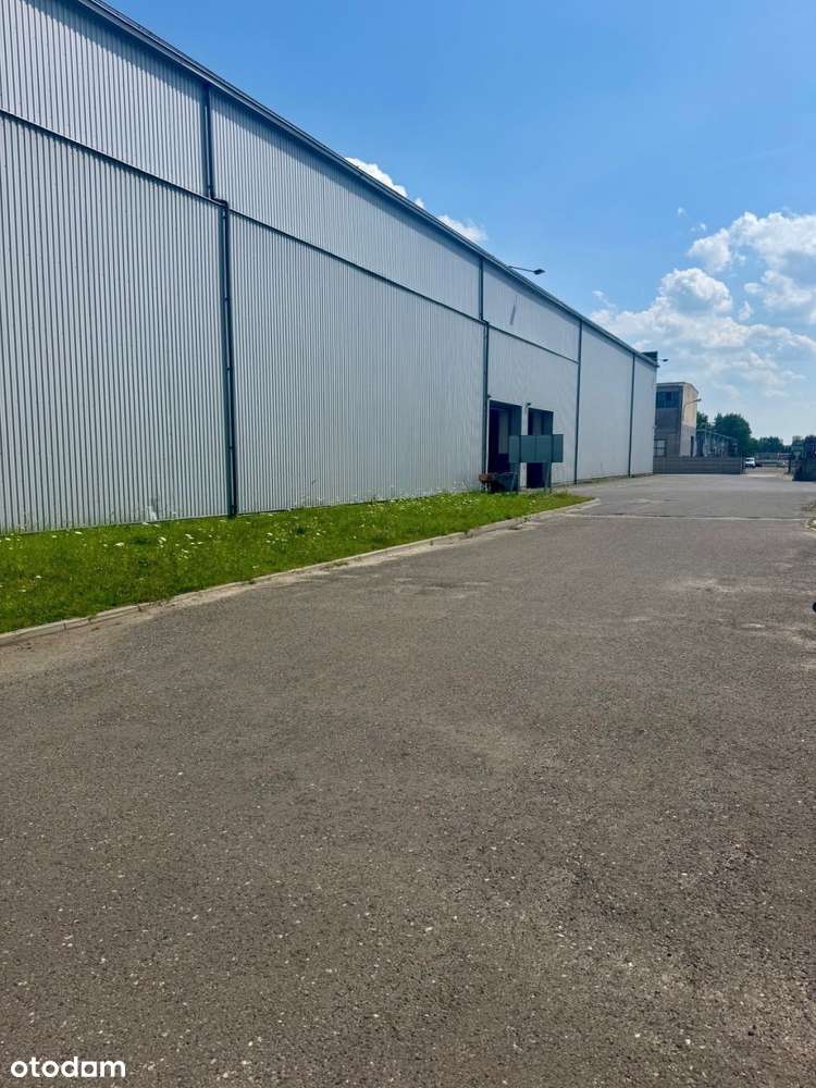 Do wynajęcia hala magazynowa z częścią biurową - Pełny obrazek: 5/16