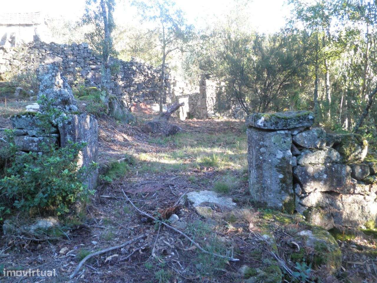 Quinta – Sever do Vouga - Grande imagem: 5/30