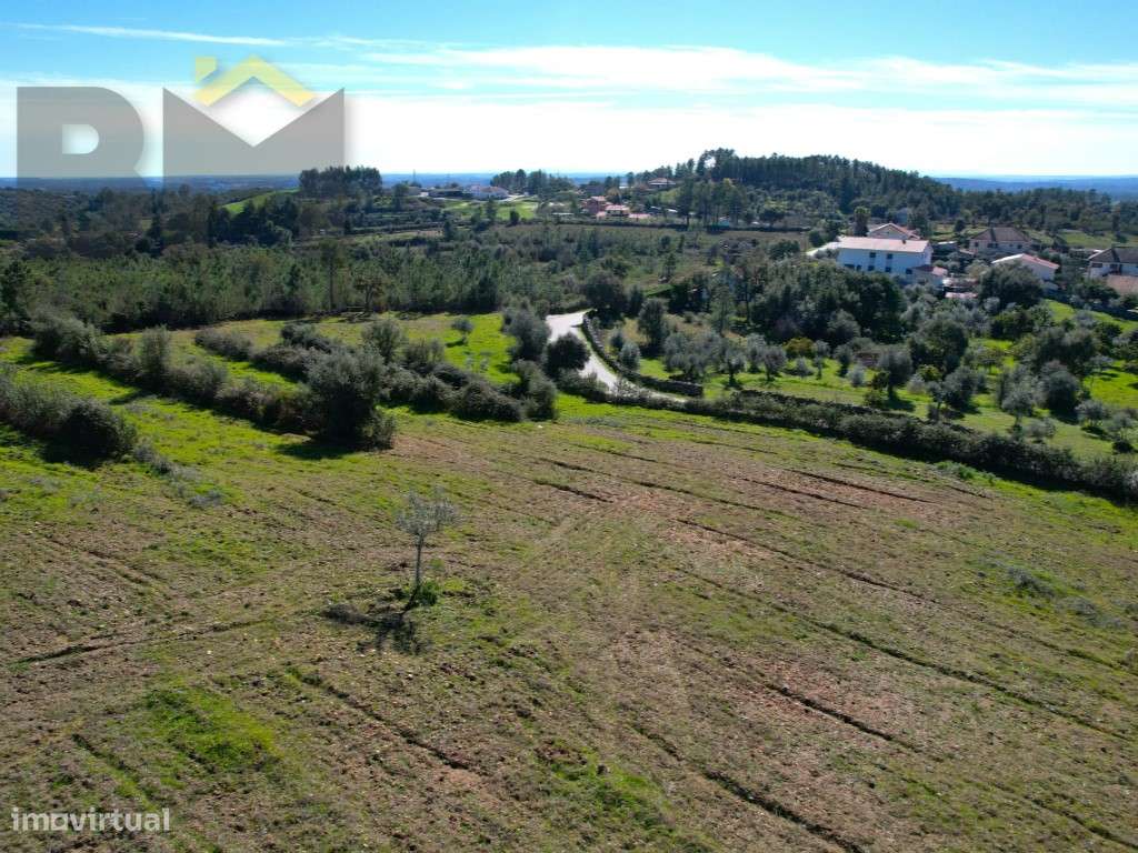 Terreno rústico com 1.2hectares, na aldeia de Sobral do Campo | 15m... - Grande imagem: 5/8