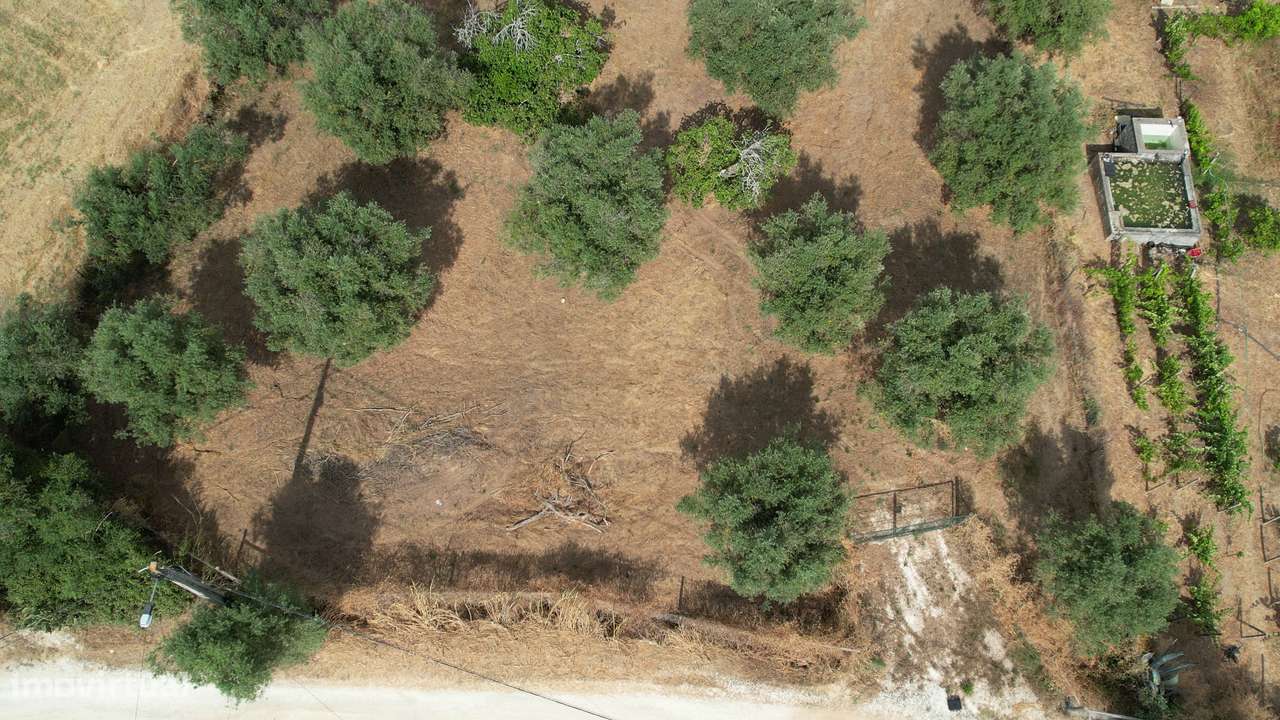 Terreno Para Construção  Venda em Santarém (Marvila), Santa Iria da Ri - Grande imagem: 5/14