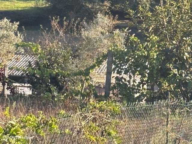 VENDE-SE PARCELA DE TERRENO-6