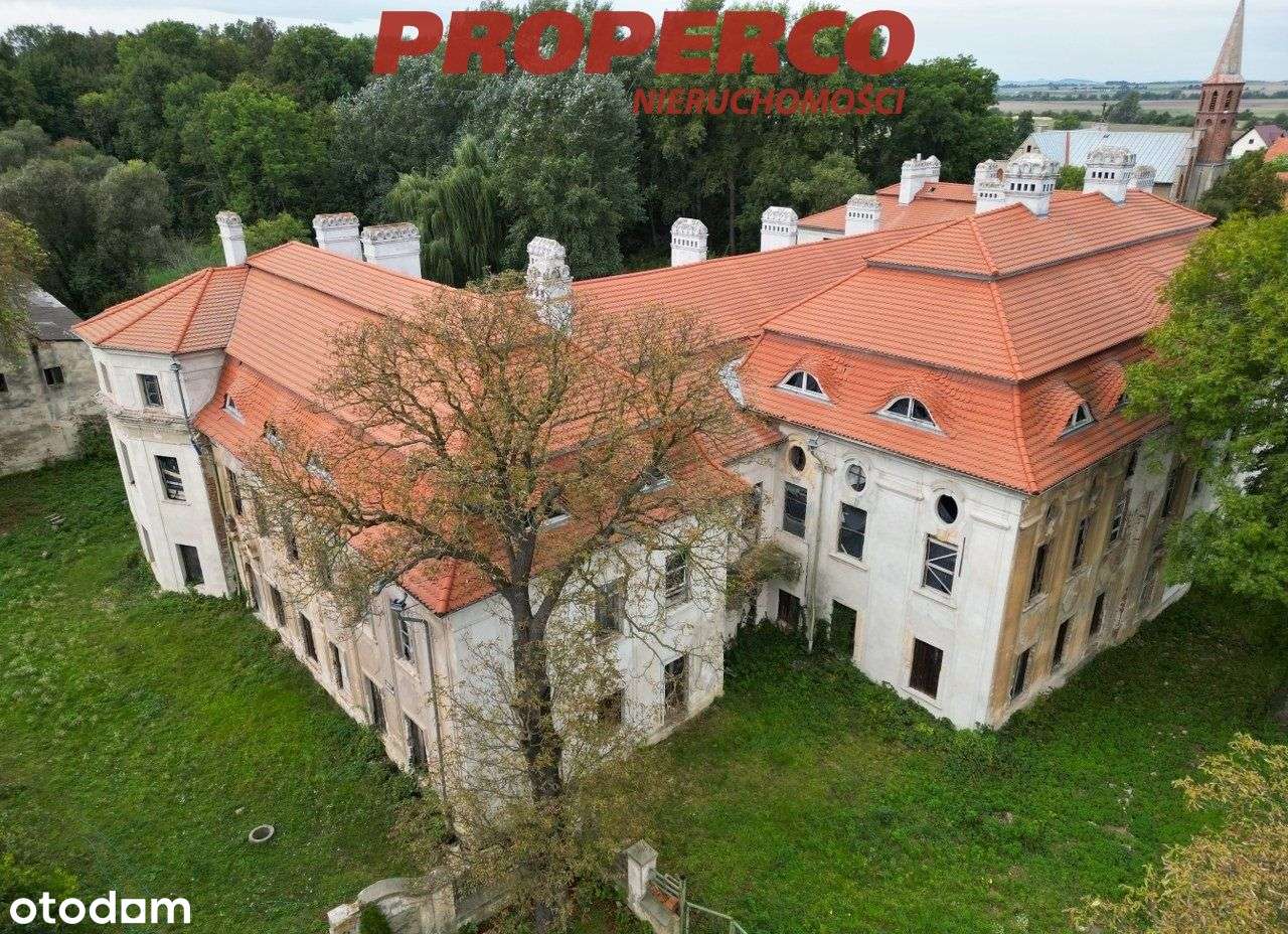 Pałac z XVII wieku, 4100 m2, park 10 ha, Małuszów - Pełny obrazek: 4/10