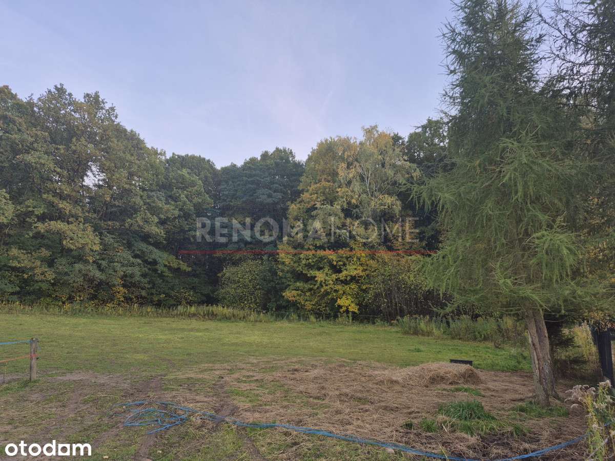 Działka budowlana granicząca z lasem - Pełny obrazek: 5/6