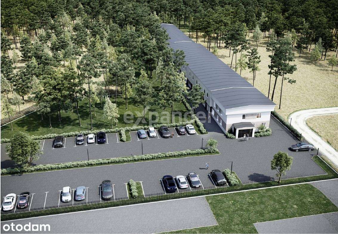 ex966503 - Pełny obrazek: 5/10