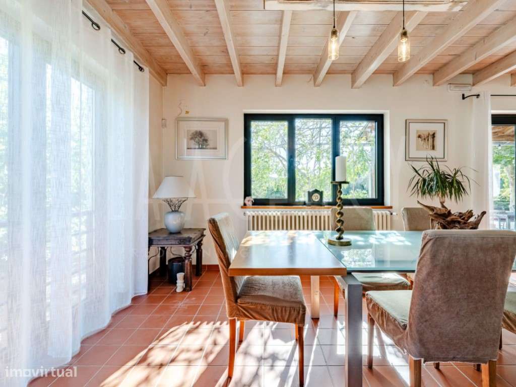 Excecional Quinta para Turismo Rural/Habitação - Entre Tábua e Oliv...-14