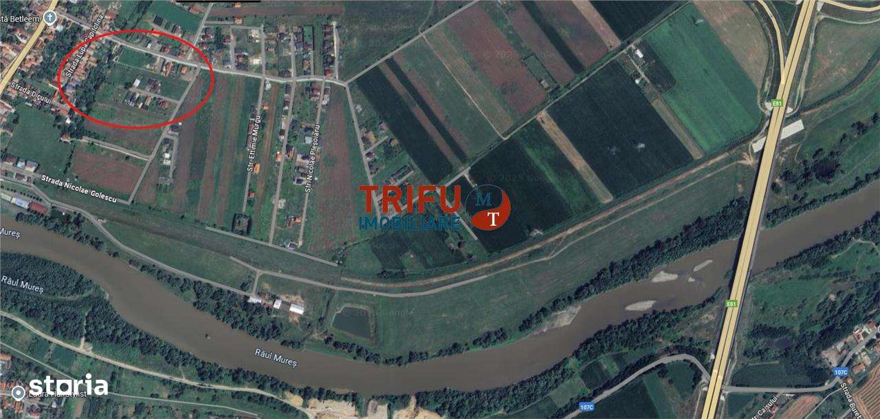 Teren de vânzare 1067 mp în Partoș - Imagine principală: 4/4