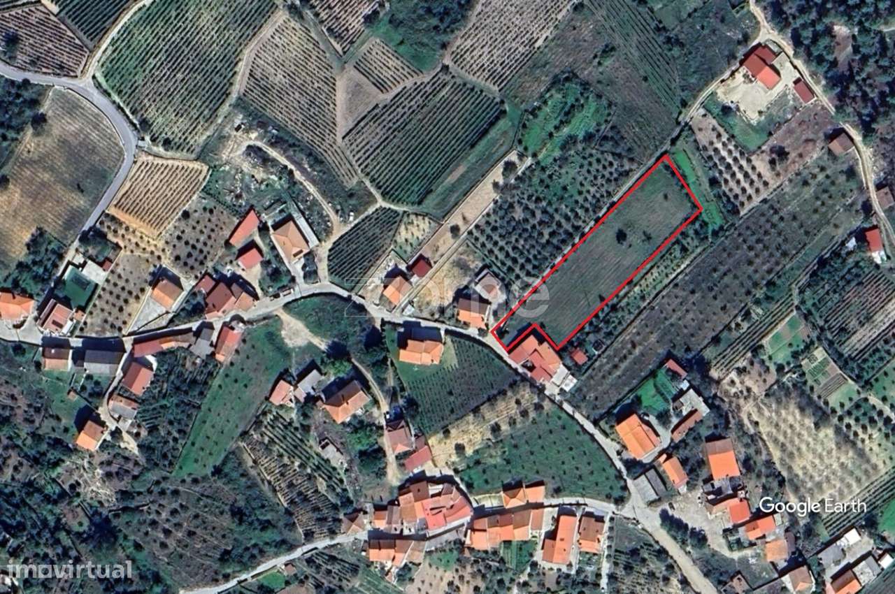 Terreno – Presandães, Alijó - Grande imagem: 5/5