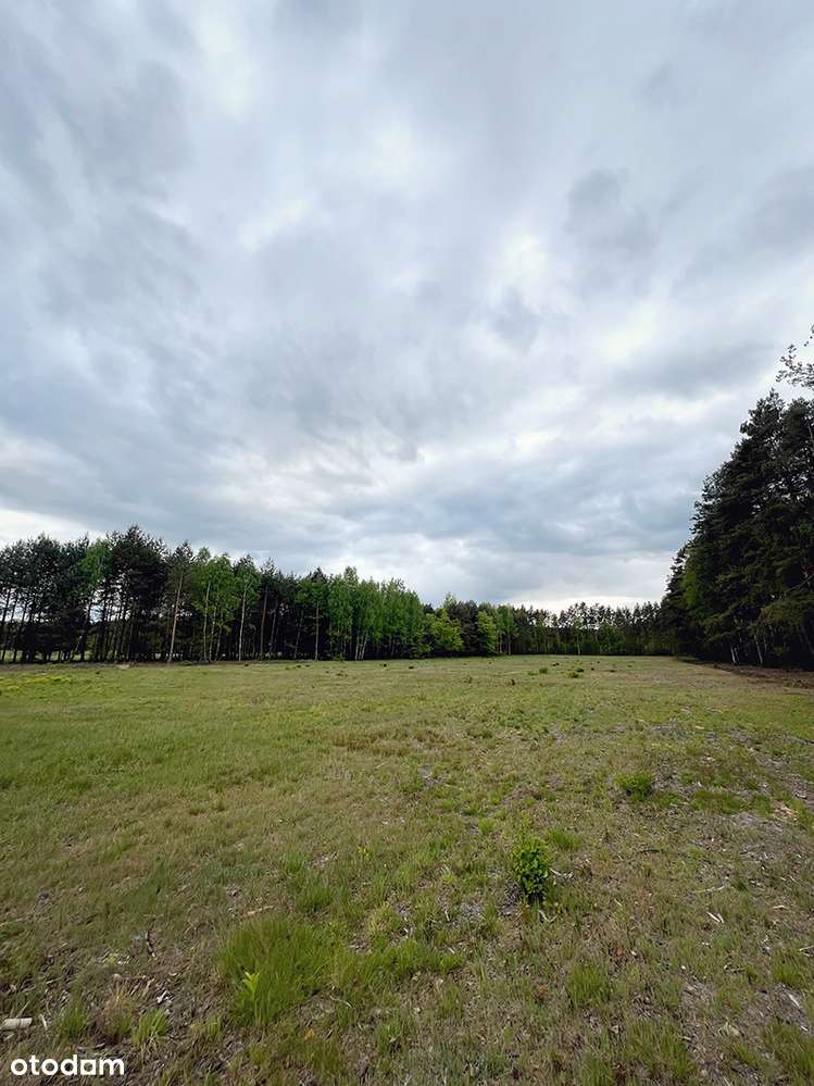 Malownicze działki z warunkami zabudowy ! - Pełny obrazek: 5/7