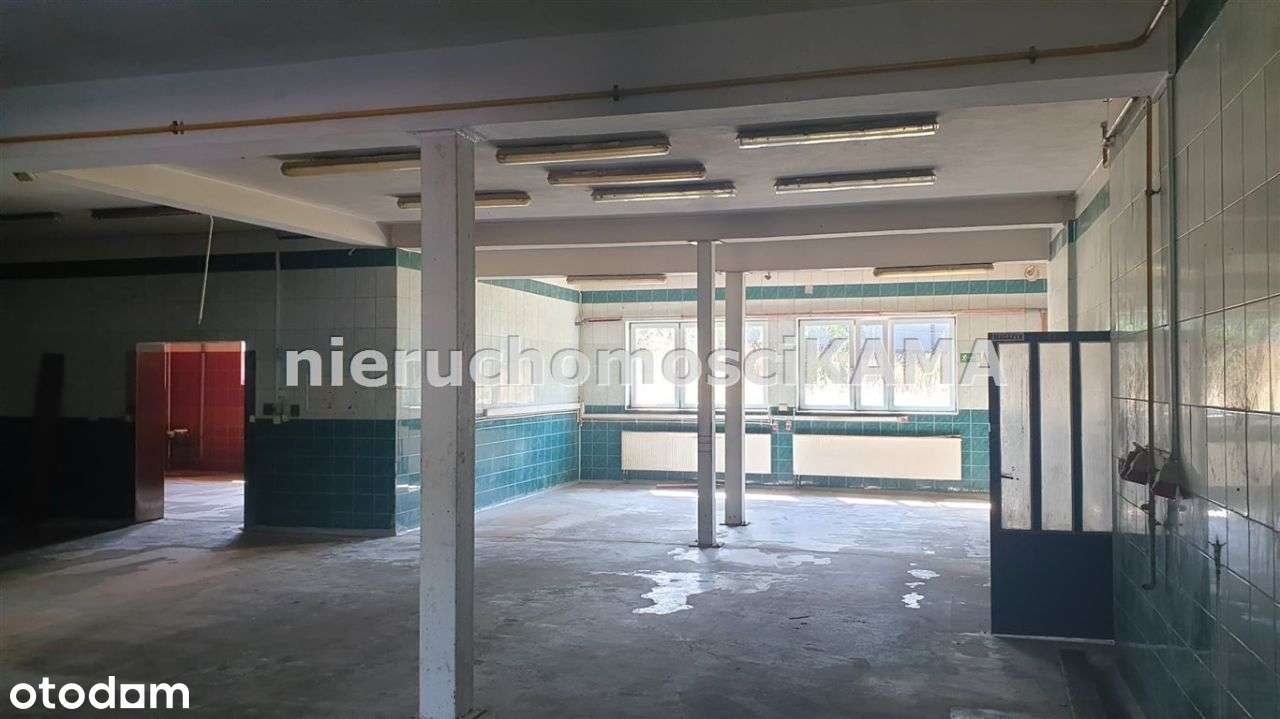 Hala/Magazyn, 1 035 m², Bielsko-Biała - Pełny obrazek: 3/18
