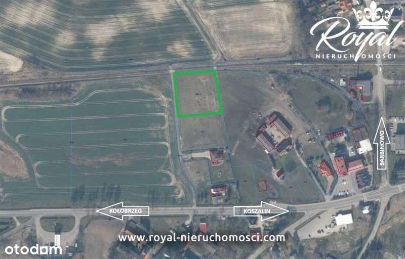 Działka 3000m2, niedaleko dr. krajowej 11-Będzino! - Pełny obrazek: 3/3