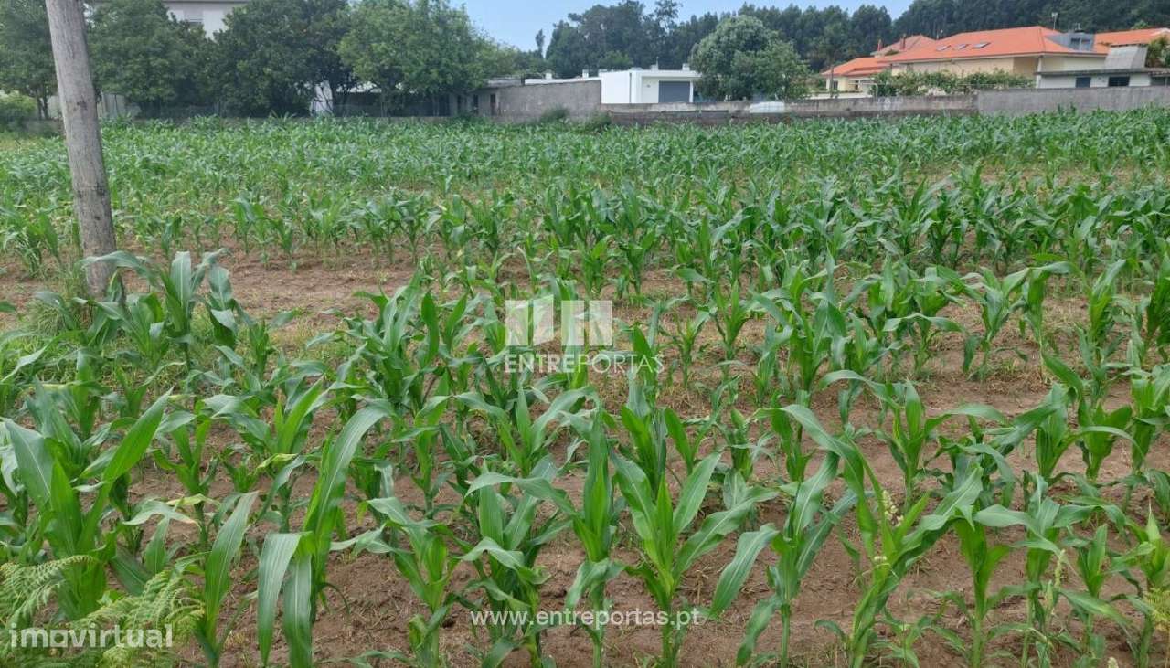 Venda de Terreno de construção, Carreço, Viana do Castelo. - Grande imagem: 5/25