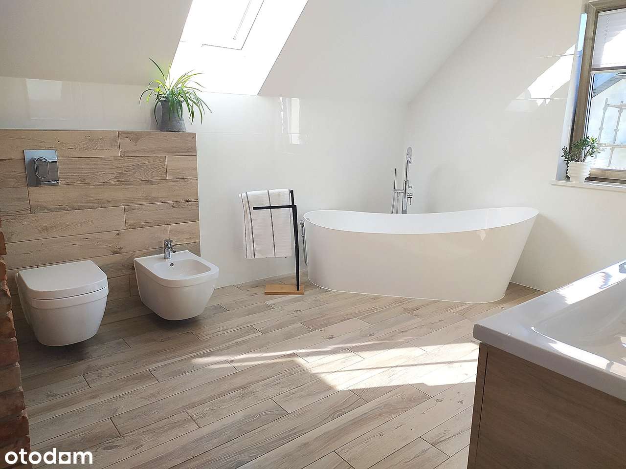 Wszystko czego potrzebujesz - Pełny obrazek: 5/20