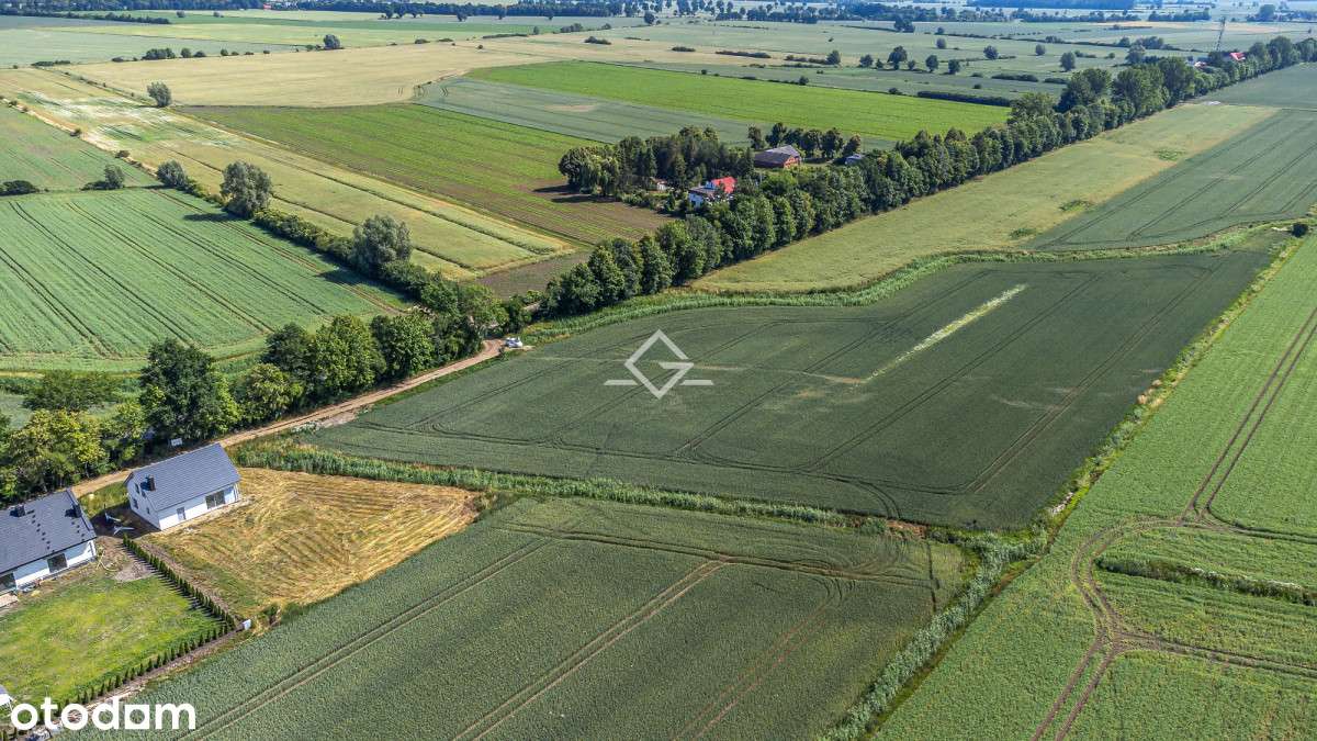 Działka budowlana | Suchy Dąb | 1299m2 - Pełny obrazek: 4/7