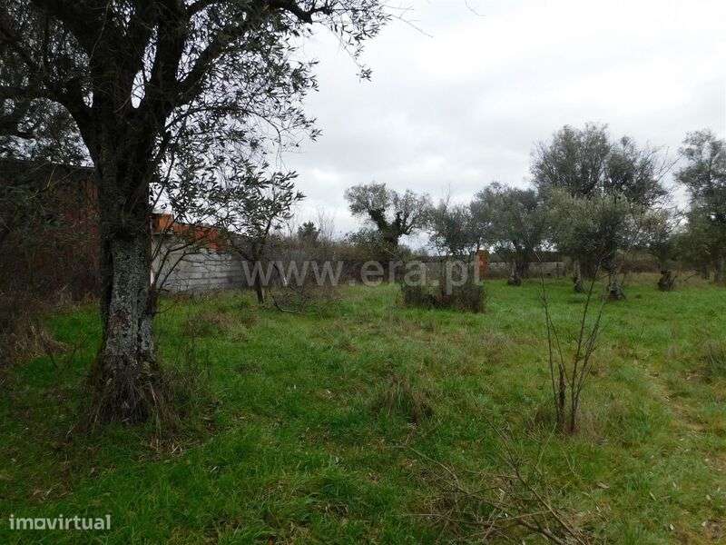 Moradia em Banda / Seia, Seia, São Romão e Lapa dos Dinheiros - Grande imagem: 4/10