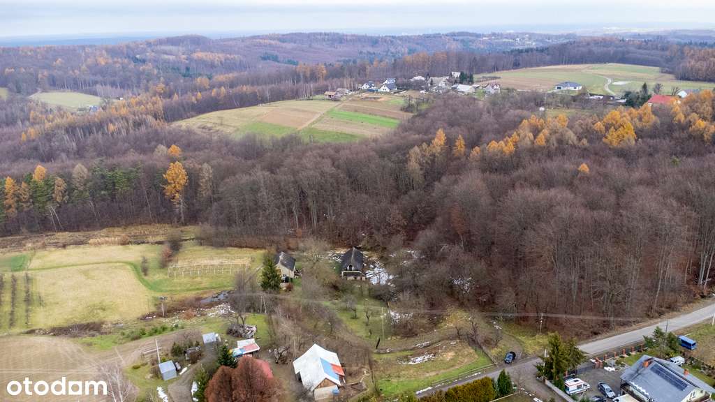 Dom do remontu na dużej działce 81ar | Stobierna-9