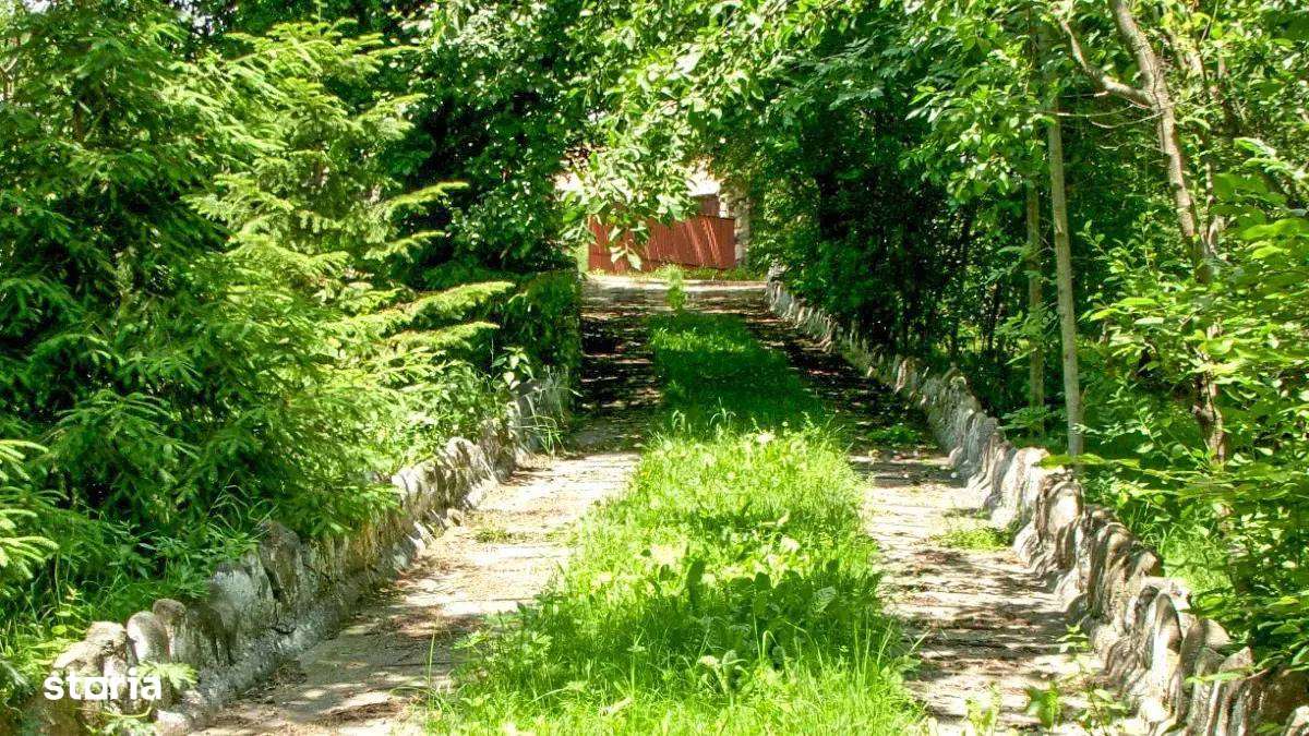 Domeniu exclusivist cu izvor propriu – Cheile Turzii / Munții Apuseni - Imagine principală: 4/11