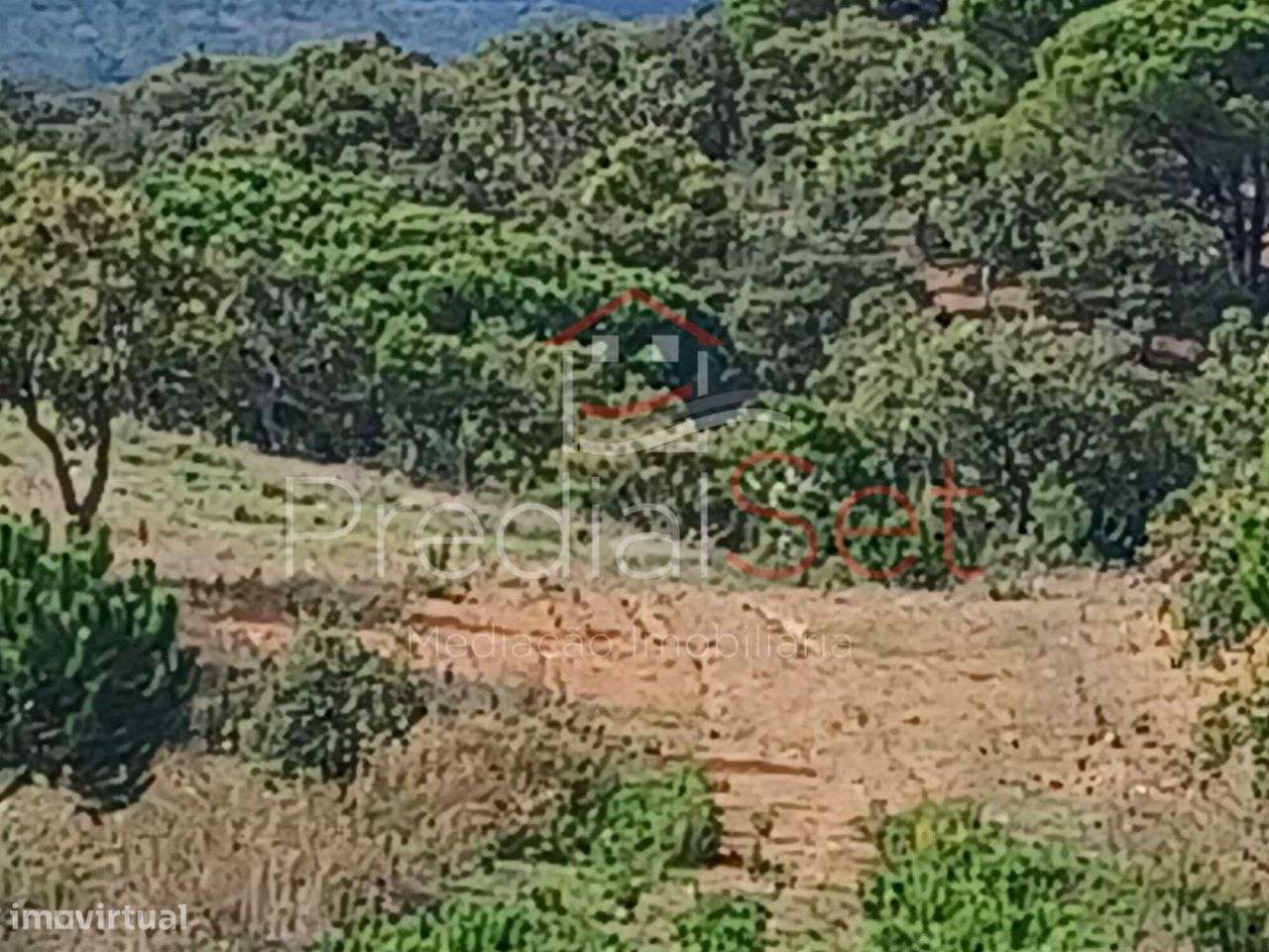 Terreno com projeto aprovado-Vista mar e Lagoa em Santa Maria da Serra-18