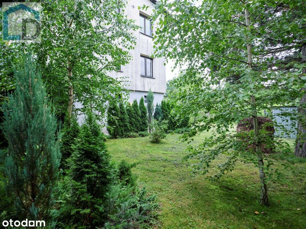 Bliźniak blisko Hulanki - Pełny obrazek: 5/20