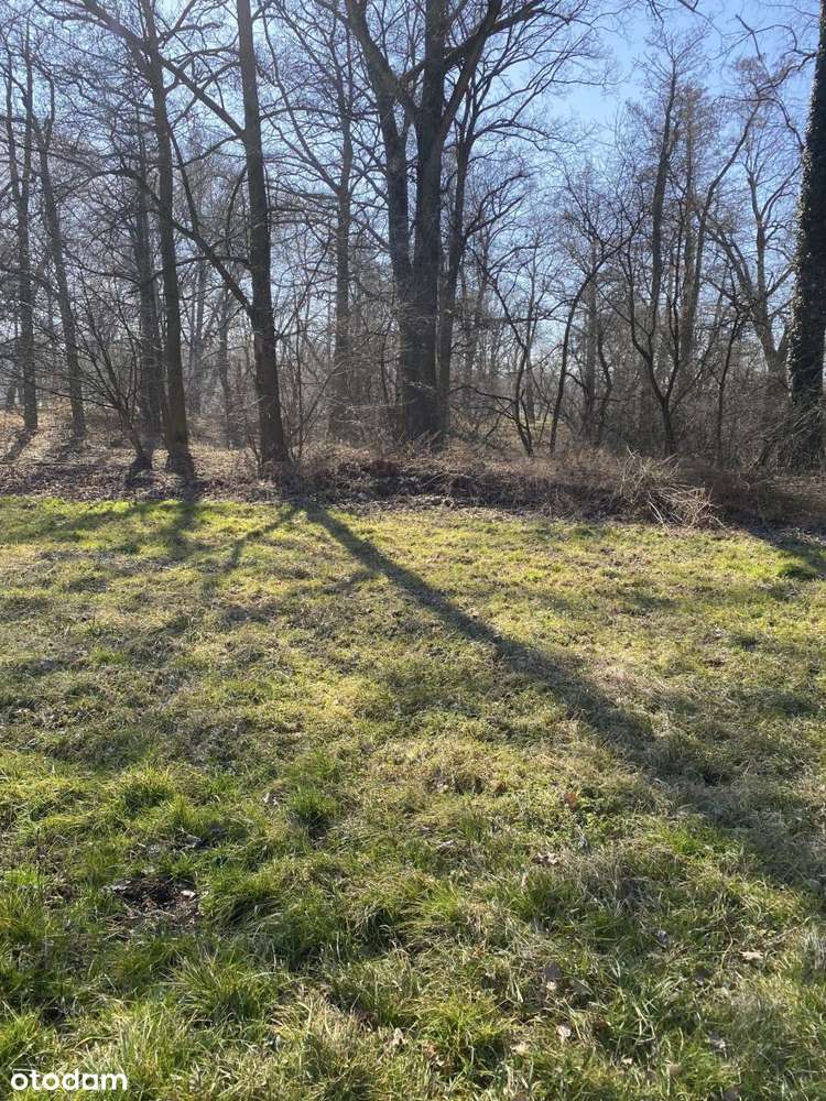 Gospodarstwo Rolne-5