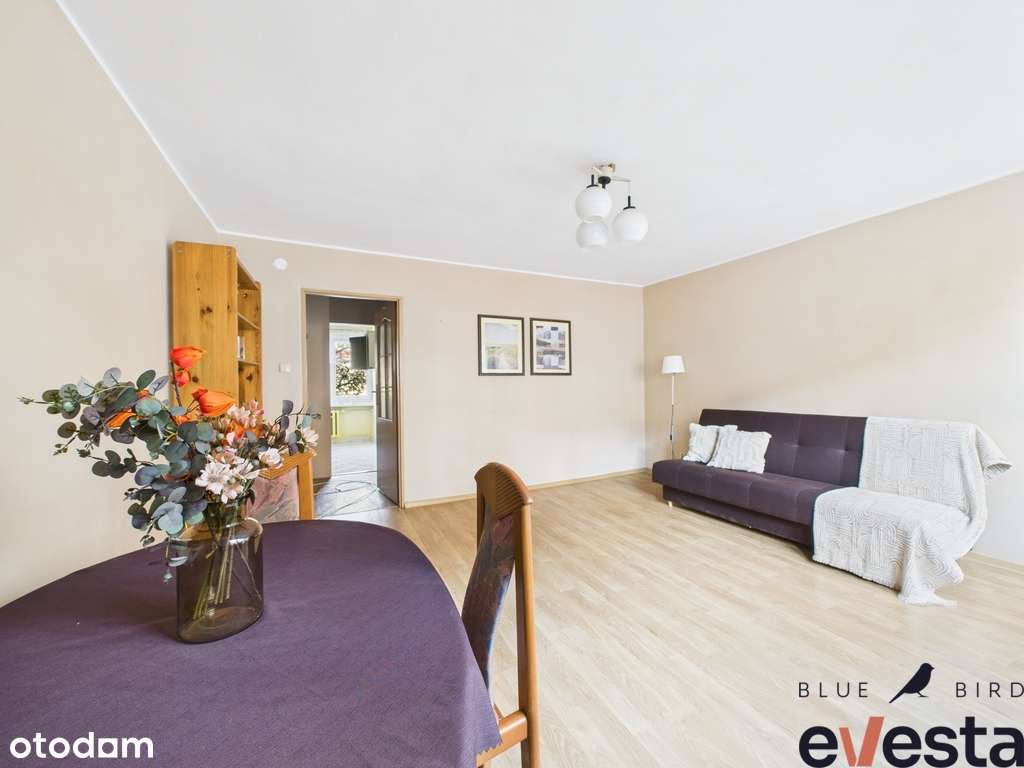 3 pok. / rozkład / Nowowiejska / media miejskie /-0