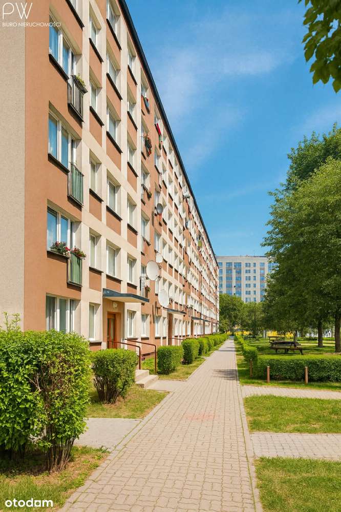 2  pokoje, dobra lokalizacja-10