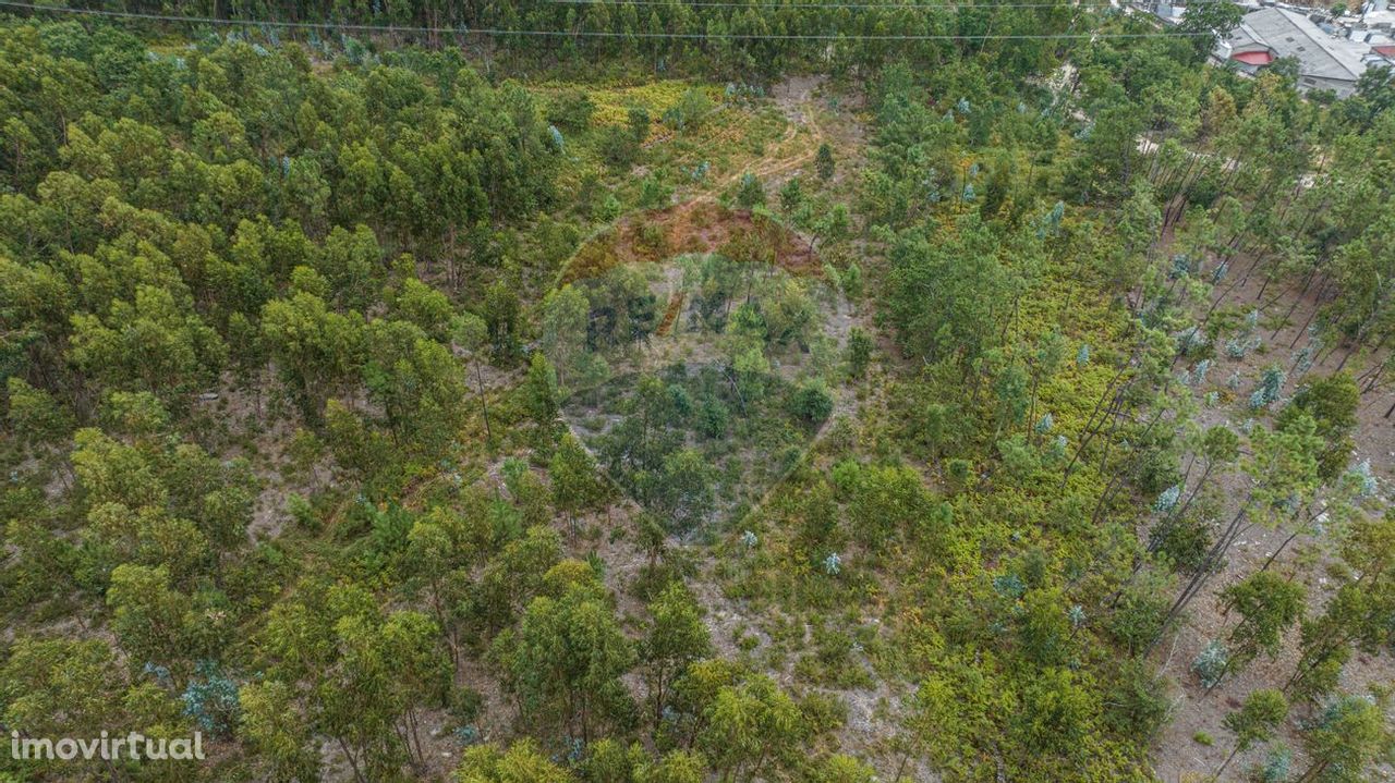 Terreno  para venda