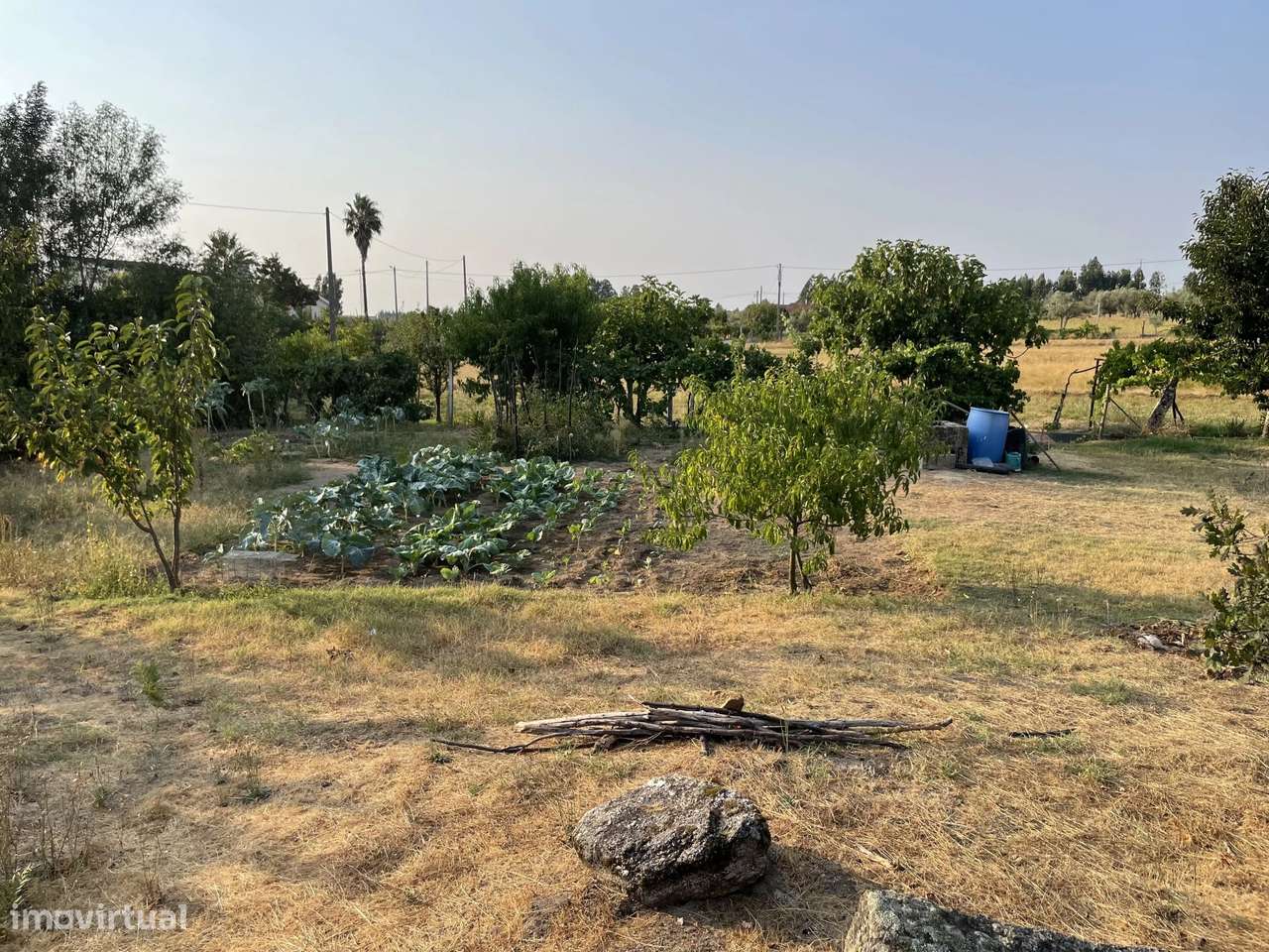 Terreno Agrícola para venda em Vila Verde, Seia - Grande imagem: 4/41