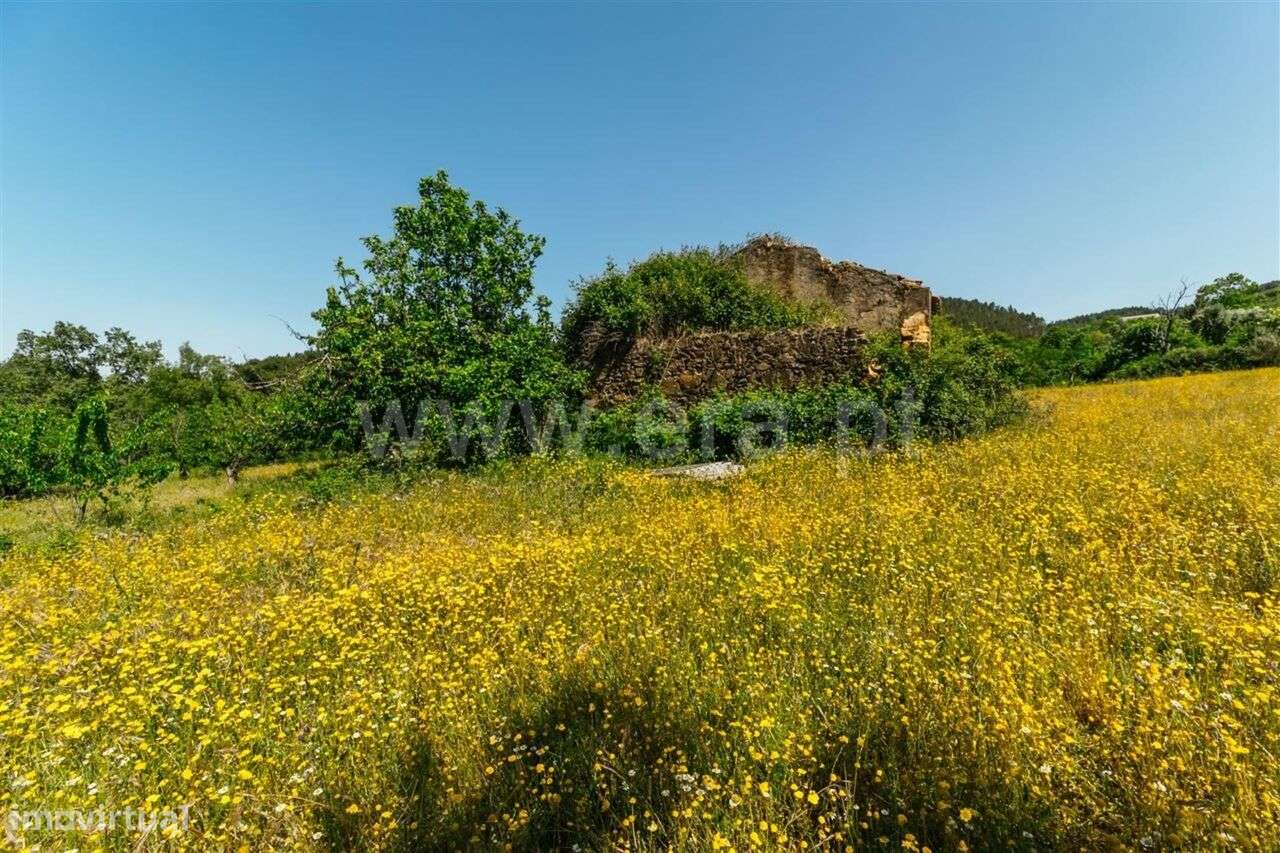 Terreno / Fundão, Donas - Grande imagem: 5/20
