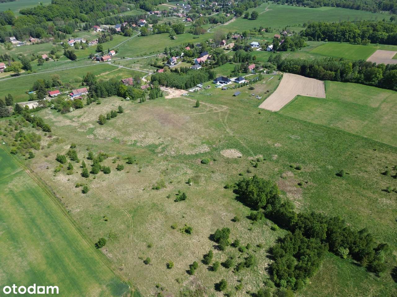 Działki budowlane pod lasem | Piękna okolica - Pełny obrazek: 5/8
