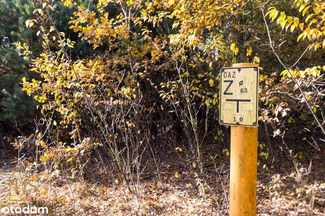 Działka budowlana w otulinie drzew/Żabia Wola/ 35 min do Warszawy - Pełny obrazek: 5/20