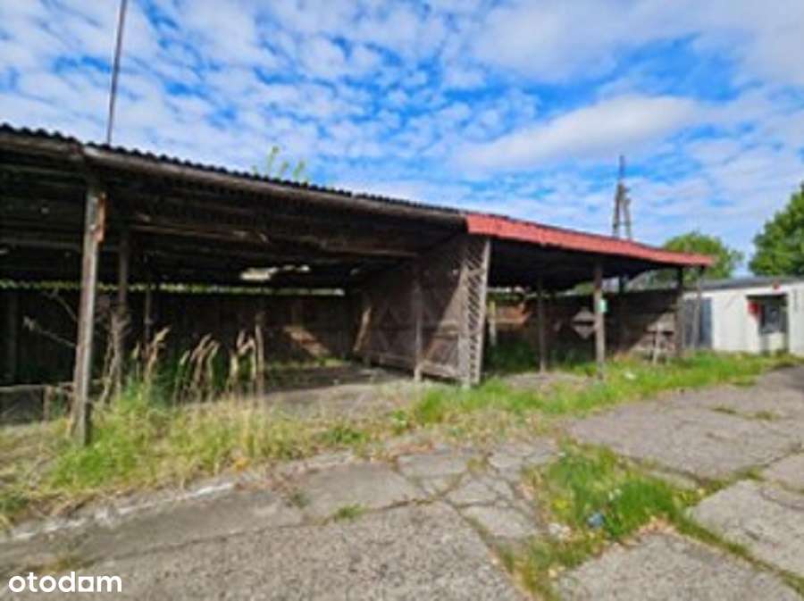 nieruchomość z budynkami   magazynowo – produkcyjnymi i socjalnymi - Pełny obrazek: 5/6