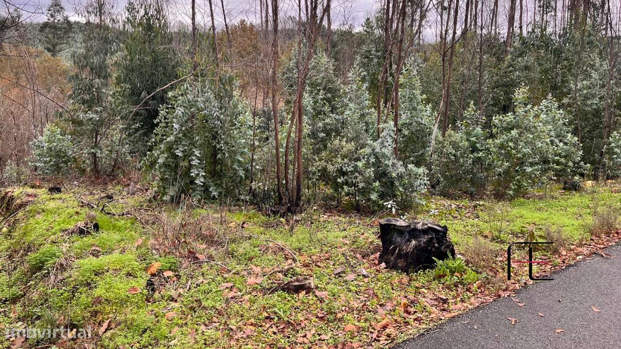 Terreno Para Construção  Venda em Macinhata do Vouga,Águeda - Grande imagem: 4/5