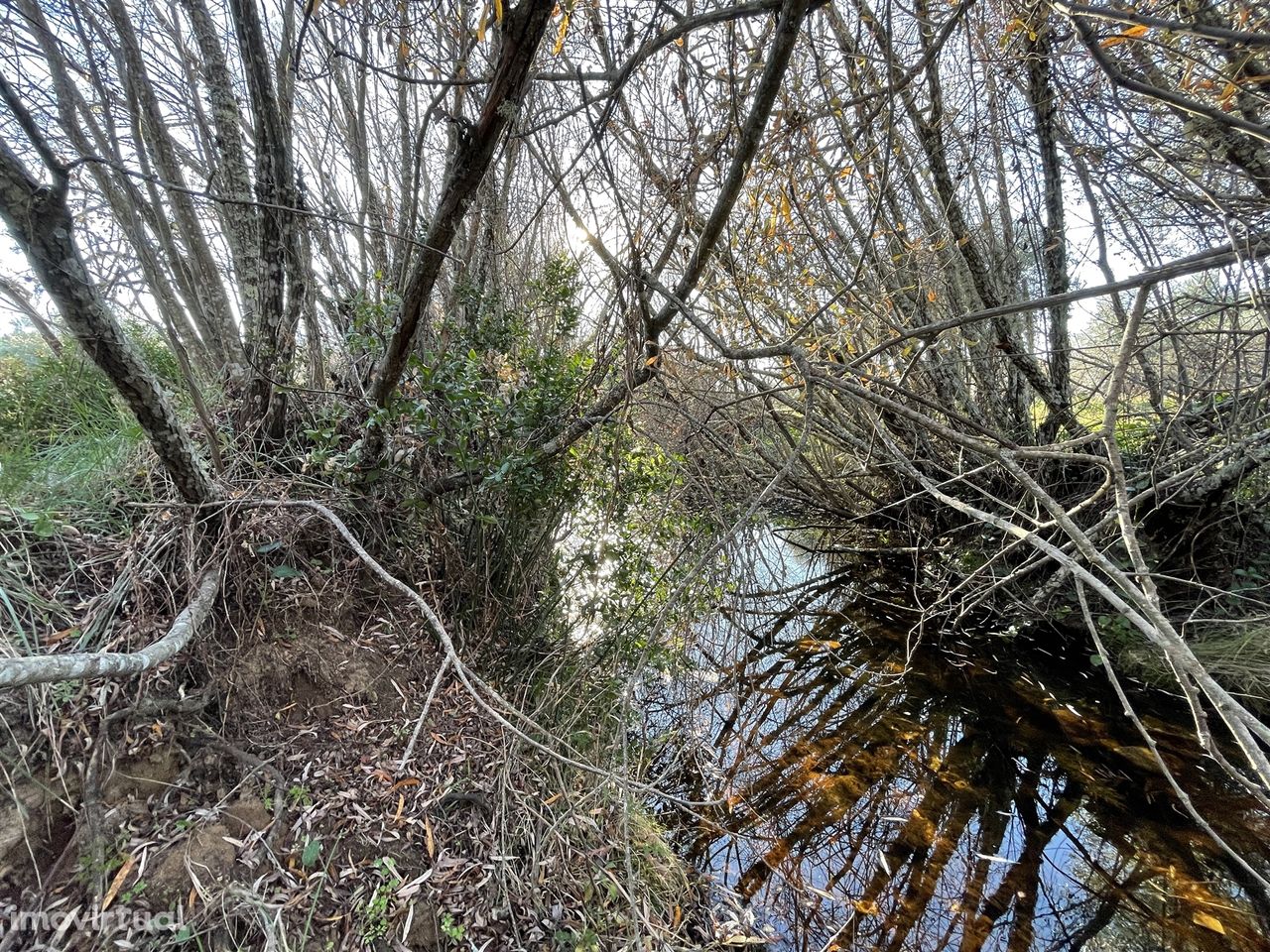 Terreno  Venda em Sarzedas,Castelo Branco